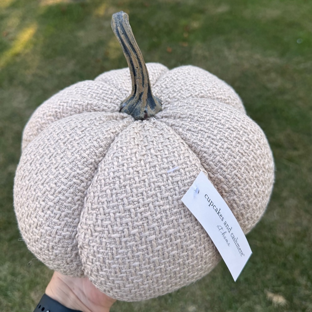 Cupcakes and Cashmere 9inch Cream Weighted Textured Fabric Pumpkin